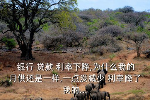  銀行 貸款 利率下降,為什么我的月供還是一樣,一點(diǎn)沒減少 利率降了我的...