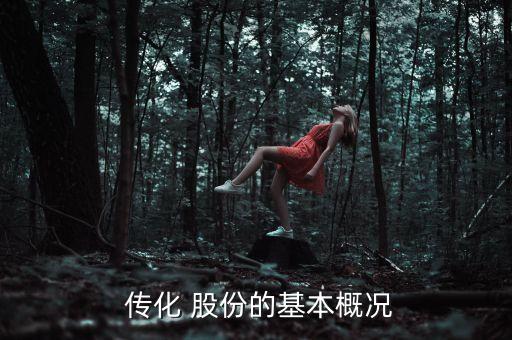 傳化股份跟傳化集團什么關(guān)系