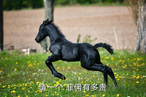 請一個 菲傭有多貴