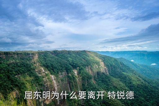 屈東明為什么要離開(kāi) 特銳德
