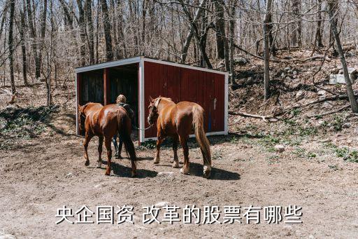 悅達(dá)投資是國(guó)企改革概念嗎