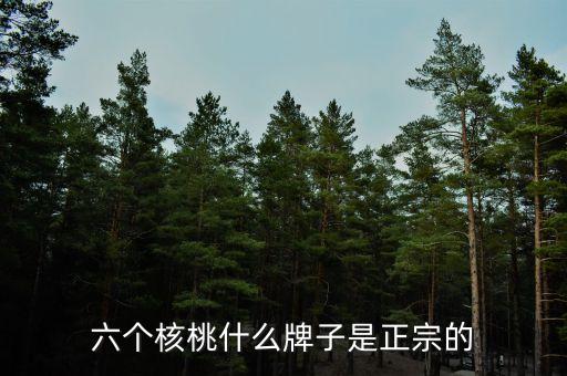 河北養(yǎng)元智匯飲品股份有限公司招股說(shuō)明書(shū)