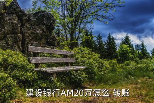  建設銀行AM20萬怎么 轉賬
