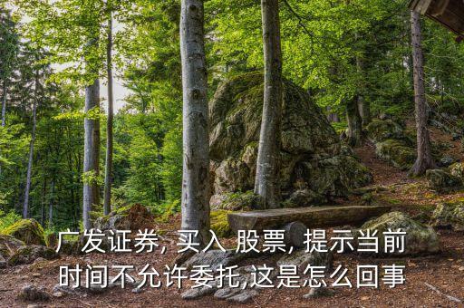 股票買(mǎi)入提示