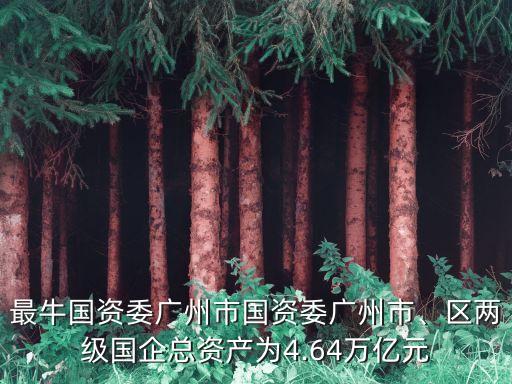 最牛國(guó)資委廣州市國(guó)資委廣州市、區(qū)兩級(jí)國(guó)企總資產(chǎn)為4.64萬(wàn)億元