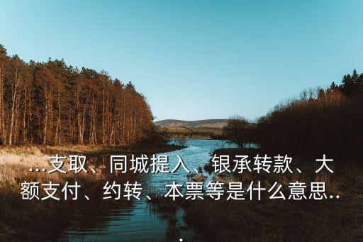 ...支取、同城提入、銀承轉(zhuǎn)款、大額支付、約轉(zhuǎn)、本票等是什么意思...