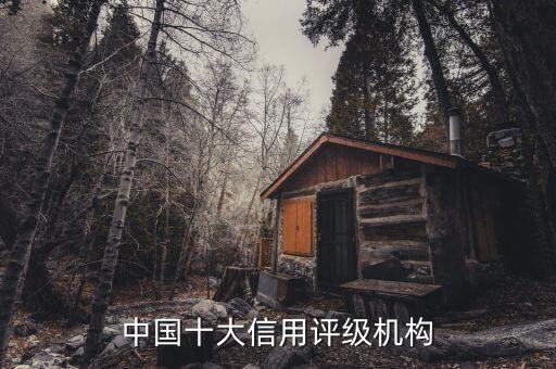 中國(guó)十大信用評(píng)級(jí)機(jī)構(gòu)