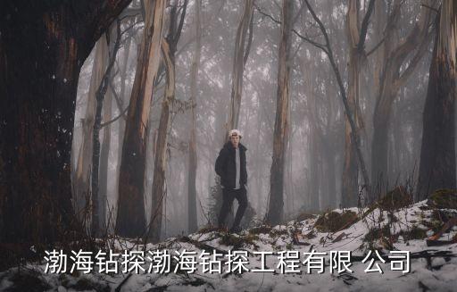 渤海鉆探渤海鉆探工程有限 公司