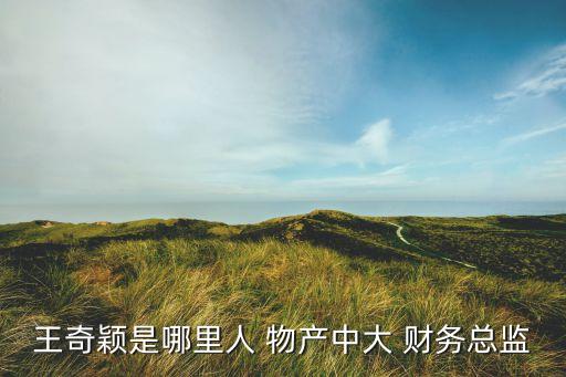 王奇穎是哪里人 物產(chǎn)中大 財務總監(jiān)