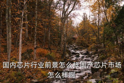 國(guó)內(nèi)芯片行業(yè)前景怎么樣國(guó)產(chǎn)芯片市場(chǎng)怎么樣啊