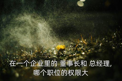 在一個企業(yè)里的 董事長和 總經理,哪個職位的權限大