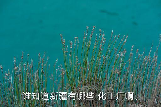 誰知道新疆有哪些 化工廠啊、