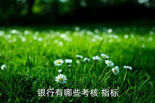 銀行常用指標(biāo),銀行報(bào)表最重要指標(biāo)