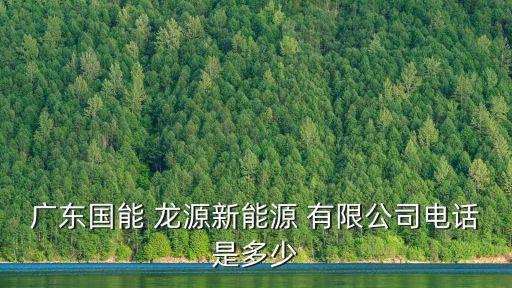 廣東國(guó)能 龍?jiān)葱履茉?有限公司電話是多少
