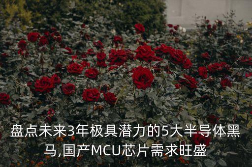 盤(pán)點(diǎn)未來(lái)3年極具潛力的5大半導(dǎo)體黑馬,國(guó)產(chǎn)MCU芯片需求旺盛