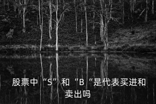  股票中“S”和“B“是代表買進和賣出嗎
