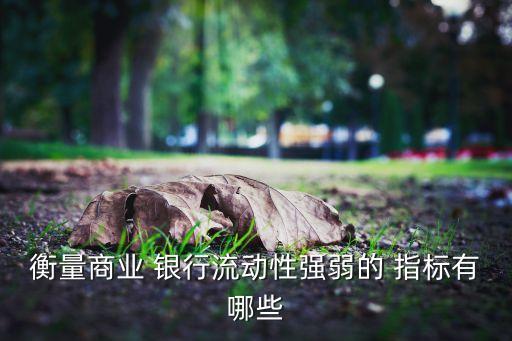 衡量商業(yè) 銀行流動性強弱的 指標有哪些
