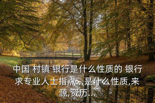 村鎮(zhèn)銀行是什么銀行,固始縣天驕村鎮(zhèn)銀行是什么銀行