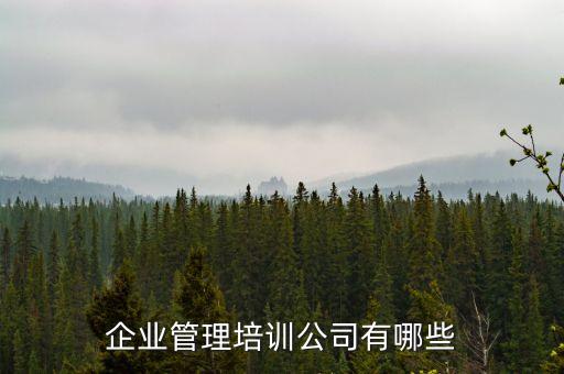 天智教育訓(xùn)練集團總裁張志誠演講,張志誠 天智教育訓(xùn)練集團董事長