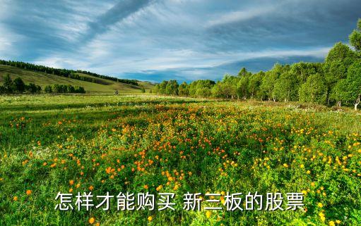 怎樣才能購(gòu)買 新三板的股票