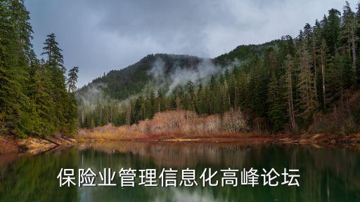 保險業(yè)管理信息化高峰論壇