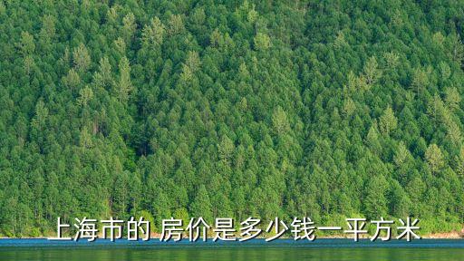 09年上海內(nèi)環(huán)的房價(jià),上海內(nèi)環(huán)內(nèi)房價(jià)還會(huì)漲嗎