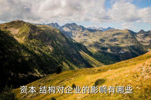 近年來資本結(jié)構(gòu)變化較大的公司,企業(yè)資本結(jié)構(gòu)或主營業(yè)務(wù)發(fā)生較大變化時(shí)