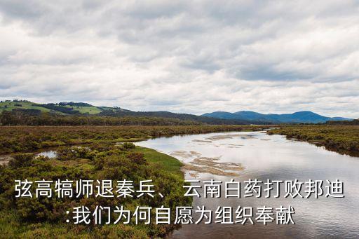 弦高犒師退秦兵、 云南白藥打敗邦迪:我們?yōu)楹巫栽笧榻M織奉獻