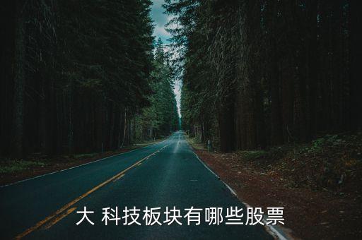 大 科技板塊有哪些股票