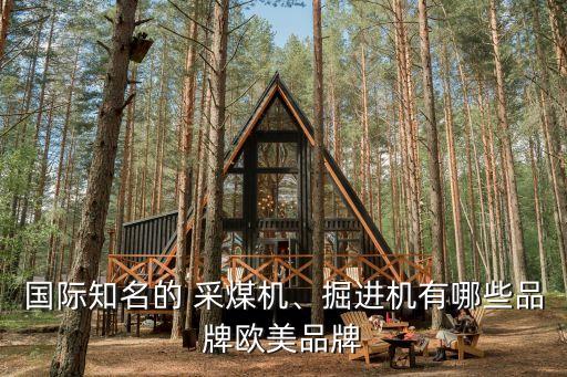 國(guó)際知名的 采煤機(jī)、掘進(jìn)機(jī)有哪些品牌歐美品牌