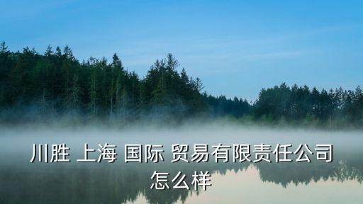 上海江川國際貿(mào)易有限公司