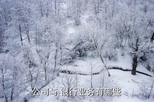 銀行企業(yè)網(wǎng)銀營(yíng)銷,農(nóng)商銀行企業(yè)網(wǎng)銀怎么登錄怎么操作