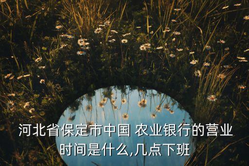  河北省保定市中國 農(nóng)業(yè)銀行的營業(yè)時(shí)間是什么,幾點(diǎn)下班
