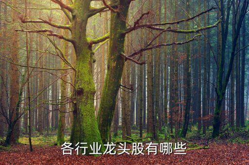 各行業(yè)龍頭股有哪些