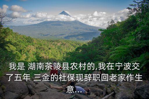 我是 湖南茶陵縣農(nóng)村的,我在寧波交了五年 三金的社?，F(xiàn)辭職回老家作生意...