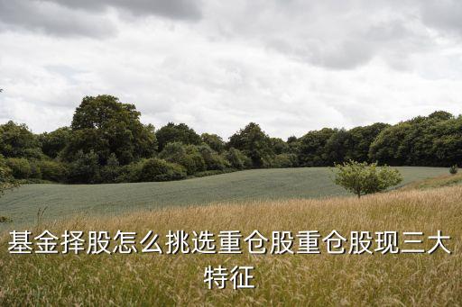 基金擇股怎么挑選重倉股重倉股現(xiàn)三大特征