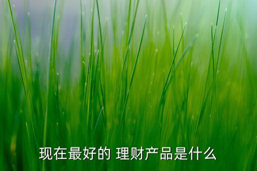 現(xiàn)在最好的 理財(cái)產(chǎn)品是什么