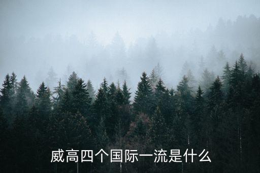  威高四個(gè)國際一流是什么