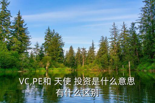 天使投資的普遍額度,國內天使投資的普遍額度最可能是