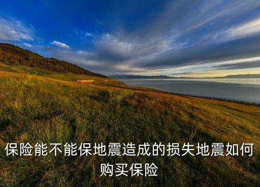 保險能不能保地震造成的損失地震如何購買保險
