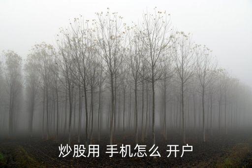 手機(jī)可以開(kāi)戶(hù)買(mǎi)股票嗎,手機(jī)怎么開(kāi)戶(hù)買(mǎi)股票詳細(xì)步驟