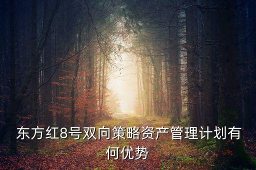  東方紅8號(hào)雙向策略資產(chǎn)管理計(jì)劃有何優(yōu)勢(shì)