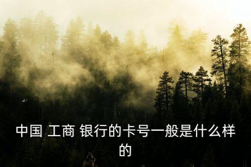 中國 工商 銀行的卡號(hào)一般是什么樣的