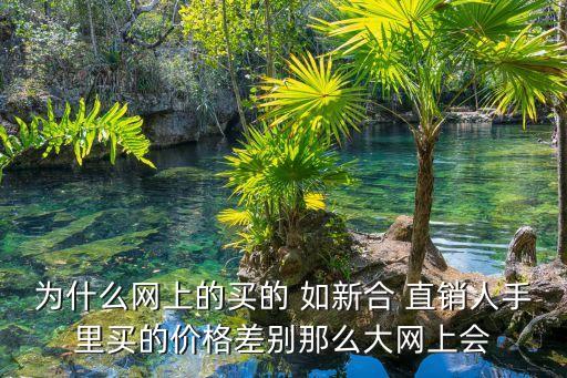 為什么網上的買的 如新合 直銷人手里買的價格差別那么大網上會