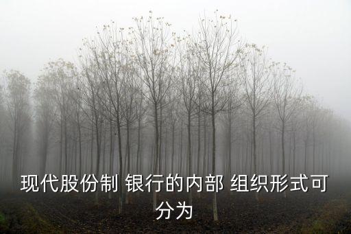 國有銀行的組織架構,我國國有銀行風險管理的組織架構圖