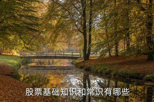  股票基礎(chǔ)知識(shí)和常識(shí)有哪些