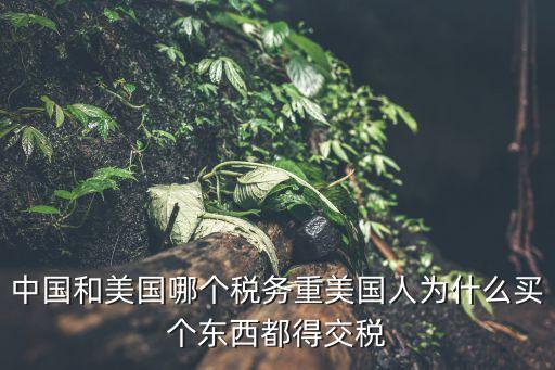 中國和美國哪個(gè)稅務(wù)重美國人為什么買個(gè)東西都得交稅