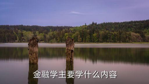 公司金融研究什么,能源金融研究什么