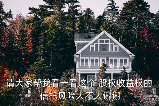 請大家?guī)臀铱匆豢催@個 股權(quán)收益權(quán)的 信托風險大不大謝謝