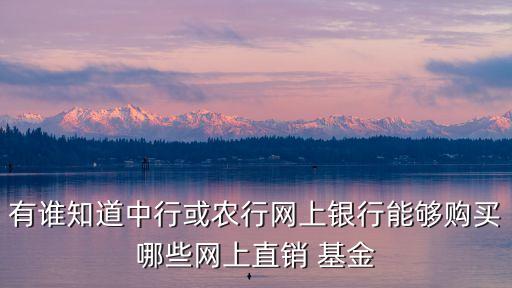 有誰(shuí)知道中行或農(nóng)行網(wǎng)上銀行能夠購(gòu)買(mǎi)哪些網(wǎng)上直銷(xiāo) 基金